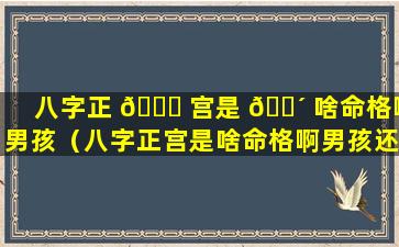 八字正 🐋 宫是 🐴 啥命格啊男孩（八字正宫是啥命格啊男孩还是女孩）